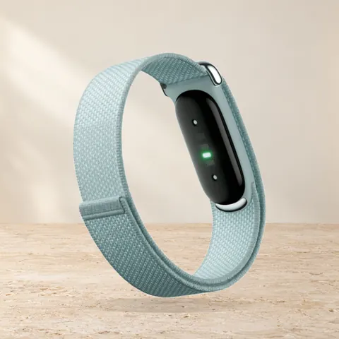 Google Fitbit Air Fog — фото товара