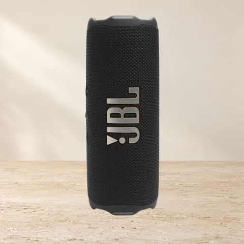 JBL Flip 7 Black, чёрный — фото товара
